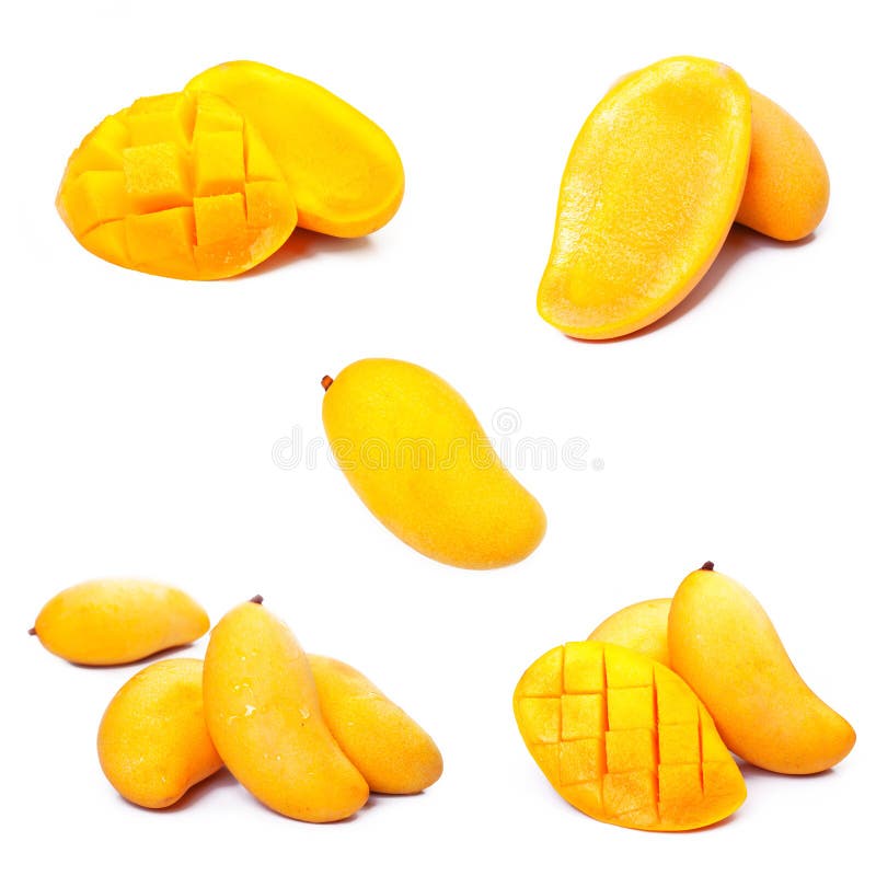芒果系列 库存图片