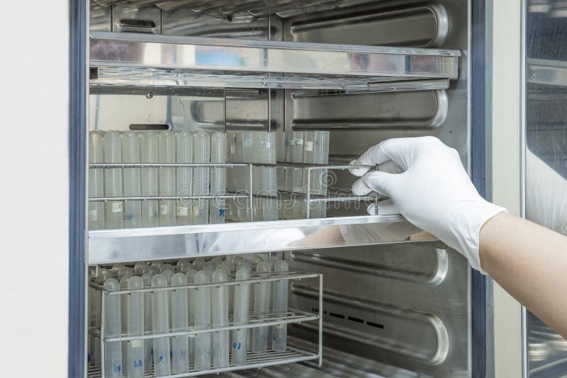 放样品的科学家入孵养器在实验室 免版税图库摄影