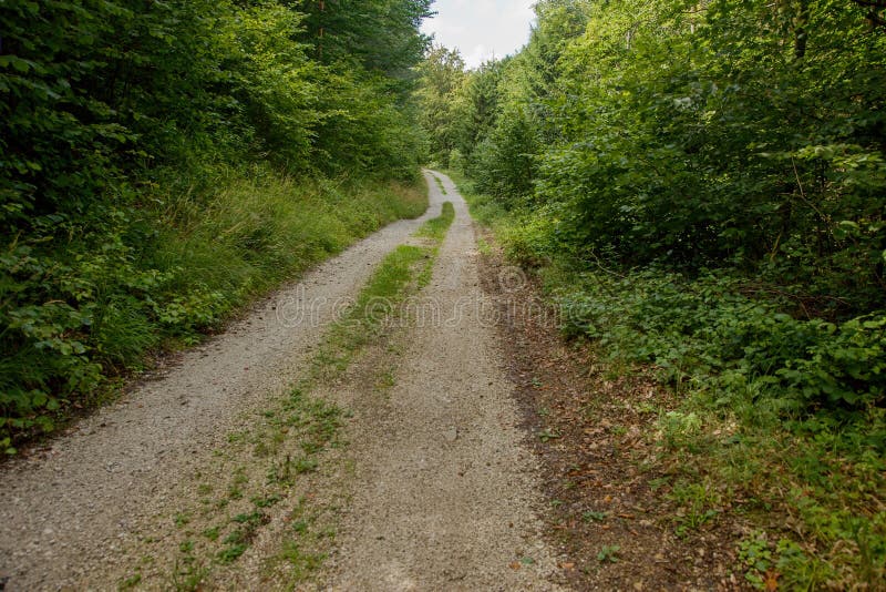 斯洛伐克山区的碎石林路 免版税库存图片