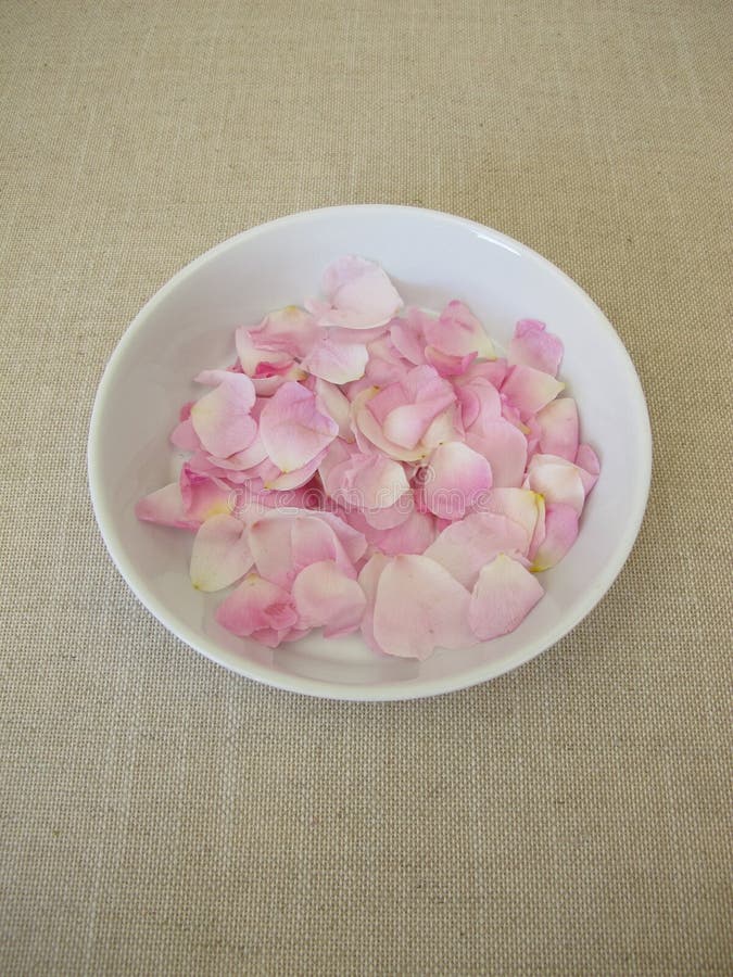 新鲜玫瑰花瓣 : 野狗的花瓣在盘子上升起 免版税库存照片