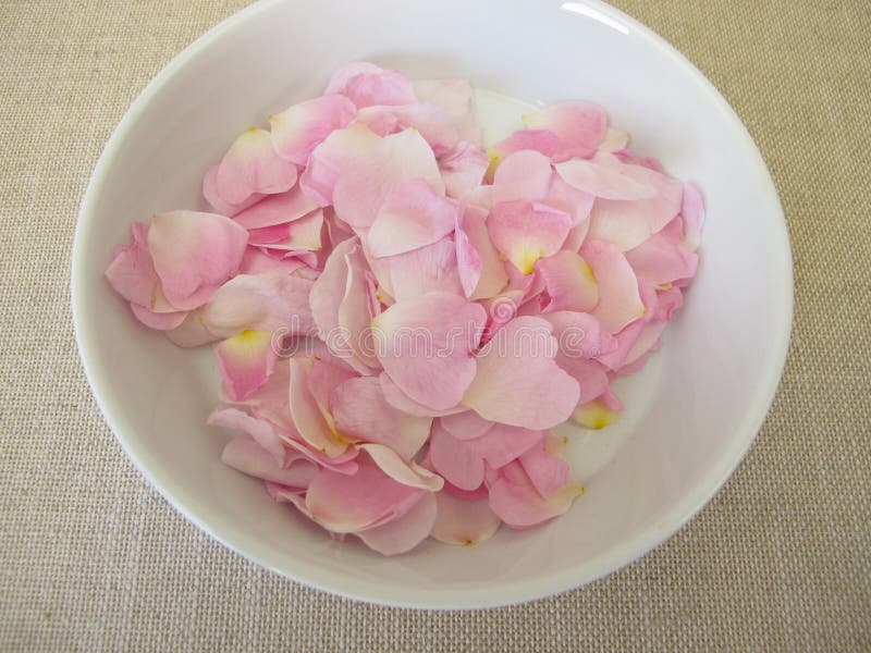 新鲜玫瑰花瓣 : 野狗的花瓣在盘子上升起 库存照片