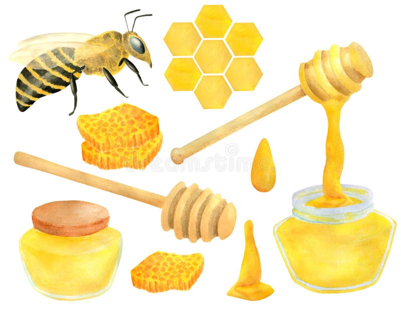 Watercolor apiculture set. Hand drawn bee, honey jar, dipper spoon, honeycomb. Illustration isolated on white background for design, decoration, food packaging. Watercolor apiculture set. Hand drawn bee, honey jar, dipper spoon, honeycomb. Illustration isolated on white background for design, decoration, food packaging