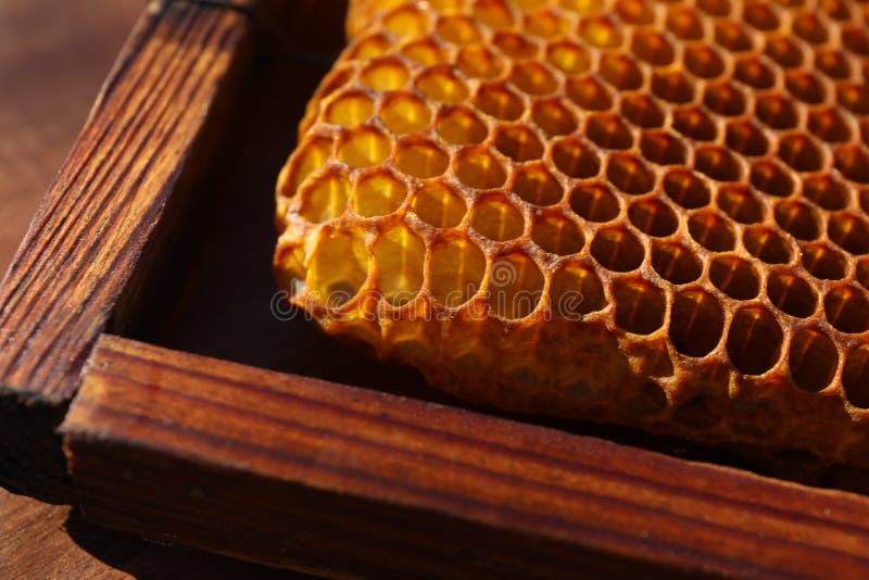 View of uncapped filled honeycomb frame. View of uncapped filled honeycomb frame