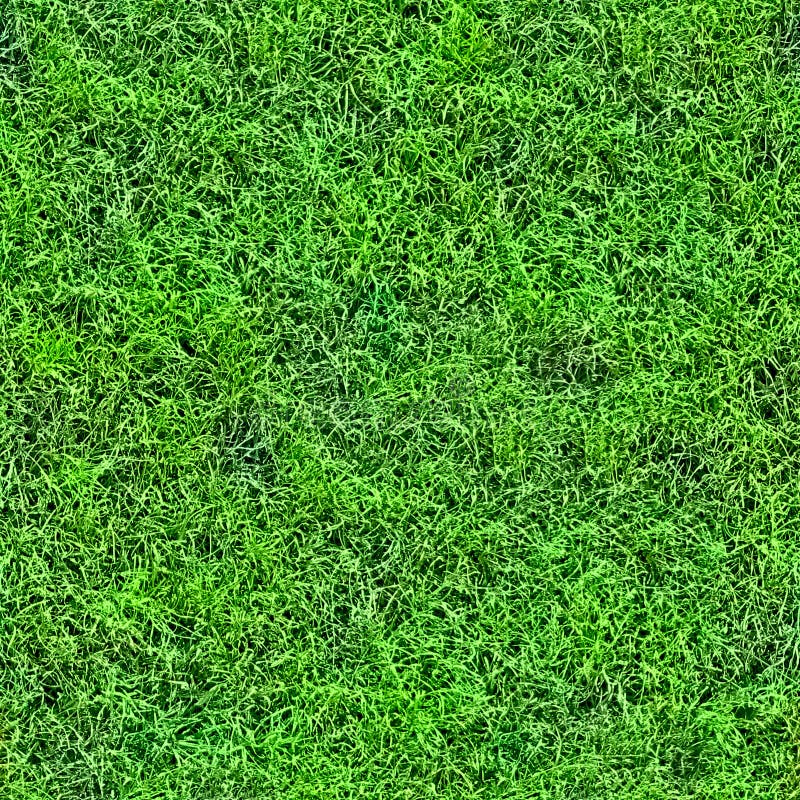 A fresh grass seamless pattern. A fresh grass seamless pattern.