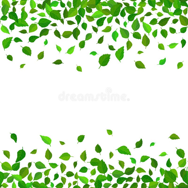 无缝的传染媒介花卉样式背景 绿色留下背景 木槿留下现实传染媒介反复性的边界 向量例证 无缝的传染媒介花卉样式背景 绿色留下背景 木槿留下现实传染媒介反复性的边界 向量例证