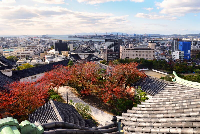 日本和歌山市 — 2019年11月19日:从日本和歌山蓝天下的和歌山城 库存照片 日本和歌山市 — 2019年11月19日:从日本和歌山蓝天下的和歌山城 库存照片