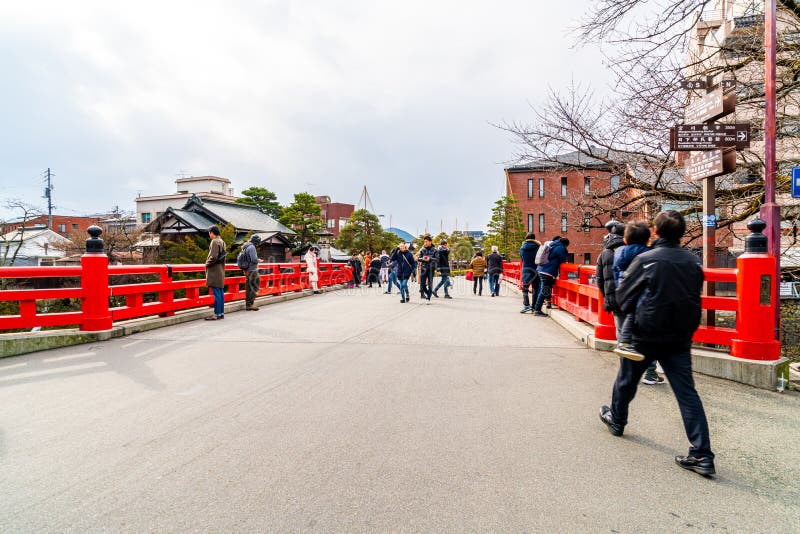 月 京都 照