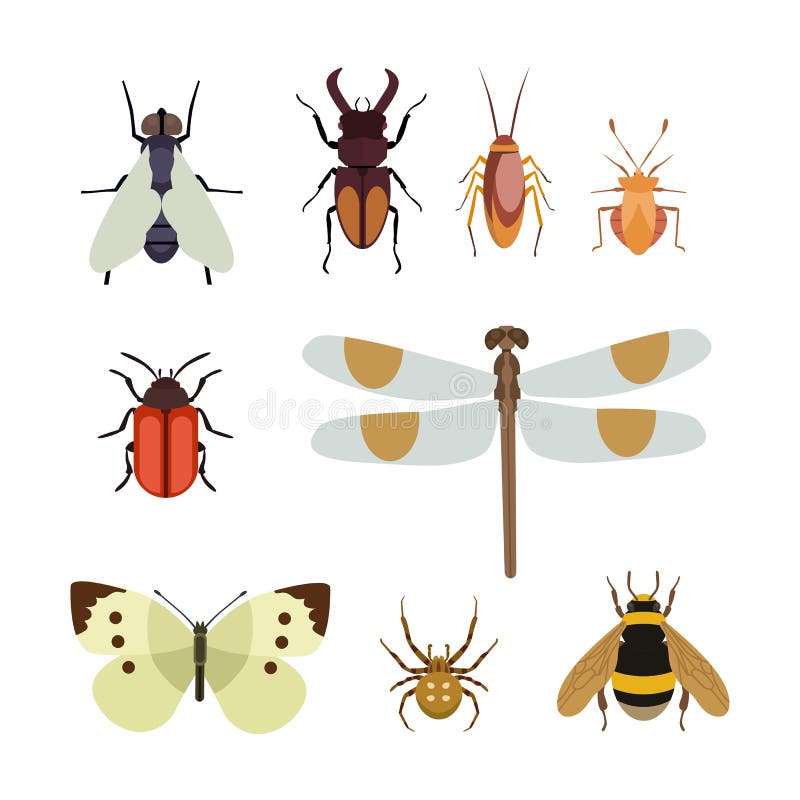 Insect icon flat isolated nature flying butterfly beetle ant and wildlife spider grasshopper or mosquito cockroach animal biology graphic vector illustration. Insecticide graphic cockroach bumblebee. Insect icon flat isolated nature flying butterfly beetle ant and wildlife spider grasshopper or mosquito cockroach animal biology graphic vector illustration. Insecticide graphic cockroach bumblebee.