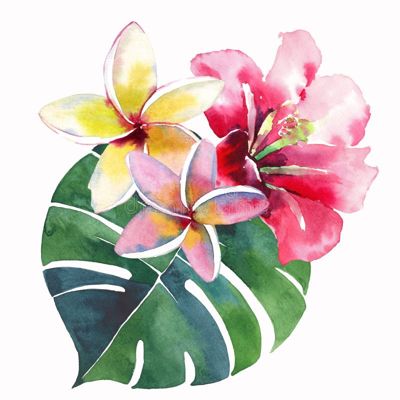 明亮的美好的绿色花卉草本热带可爱的夏威夷逗人喜爱的夏天结构的一热带红色桃红色白色黄色flo 皇族释放例证 明亮的美好的绿色花卉草本热带可爱的夏威夷逗人喜爱的夏天结构的一热带红色桃红色白色黄色flo 皇族释放例证