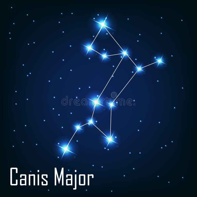 星座大犬星座星夜 皇族释放例证