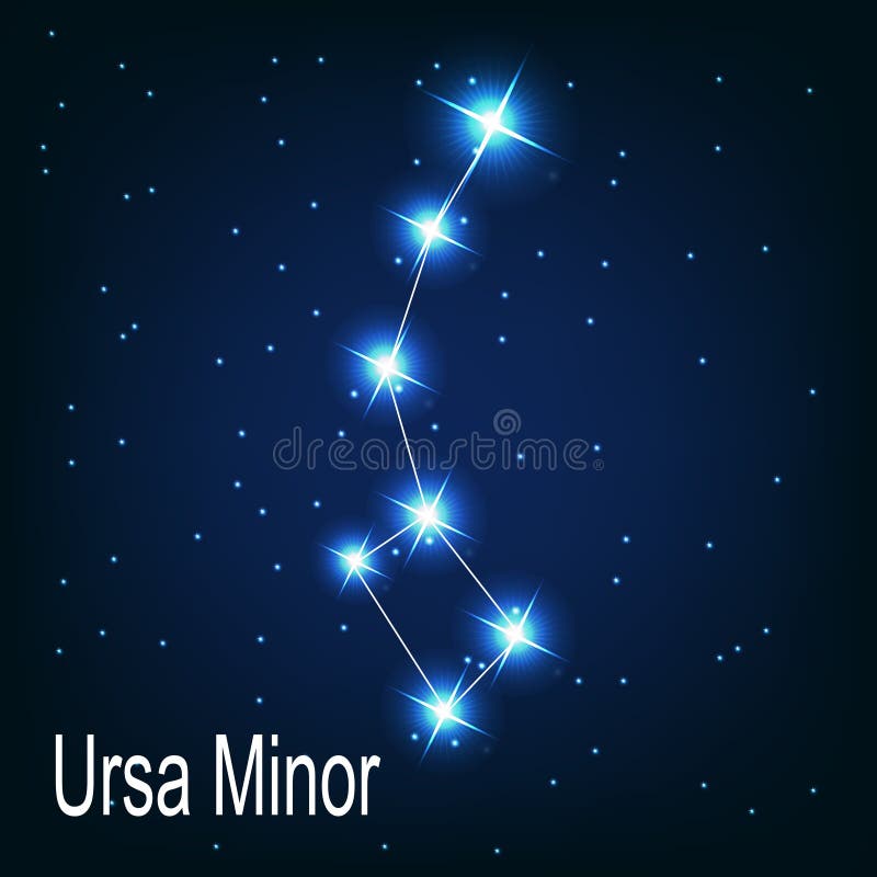 星座小熊座星夜 库存例证