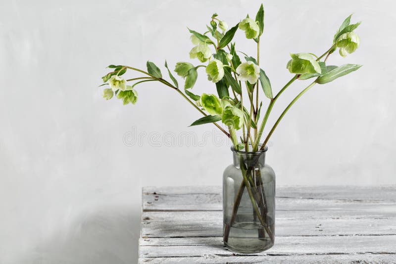 春天黑黎芦花束在花瓶开花 与嚏根草属花的春天花卉静物画 家庭自然装饰 免版税库存图片 春天黑黎芦花束在花瓶开花 与嚏根草属花的春天花卉静物画 家庭自然装饰 免版税库存图片