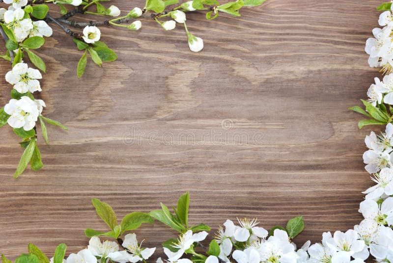 Frame of spring flowers on a wooden background. Frame of spring flowers on a wooden background.