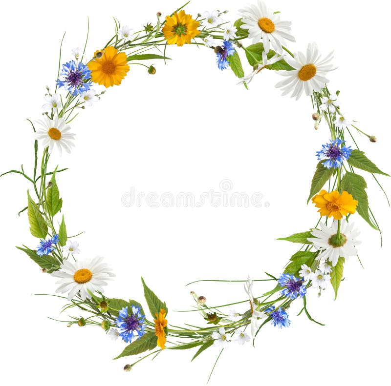 Circle frame from spring flowers isolated on white without shadow. Circle frame from spring flowers isolated on white without shadow