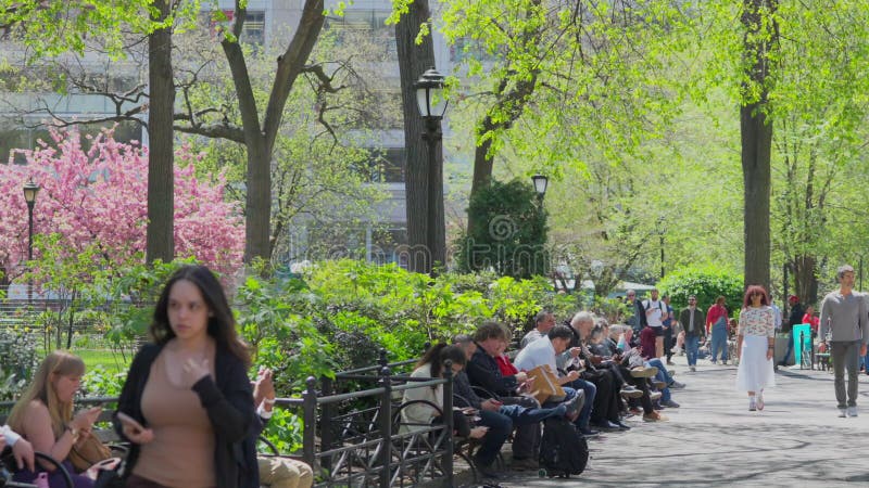 春季，人们在联合广场公园的公园长椅上放松