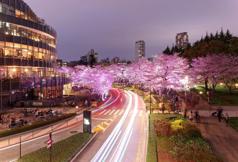 曼谷湖边摩天大楼夜风景反射在光滑的湖水的在美丽的Benjakiti公园 库存照片 曼谷湖边摩天大楼夜风景反射在光滑的湖水的在美丽的Benjakiti公园 库存照片