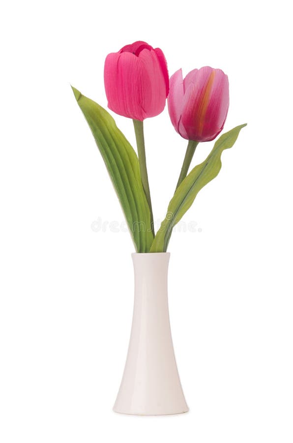 有五颜六色的郁金香的花瓶在白色