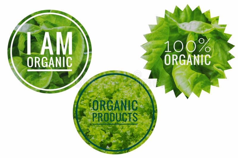 Organic product design idea, organic vegetable banner. Organic product design idea, organic vegetable banner