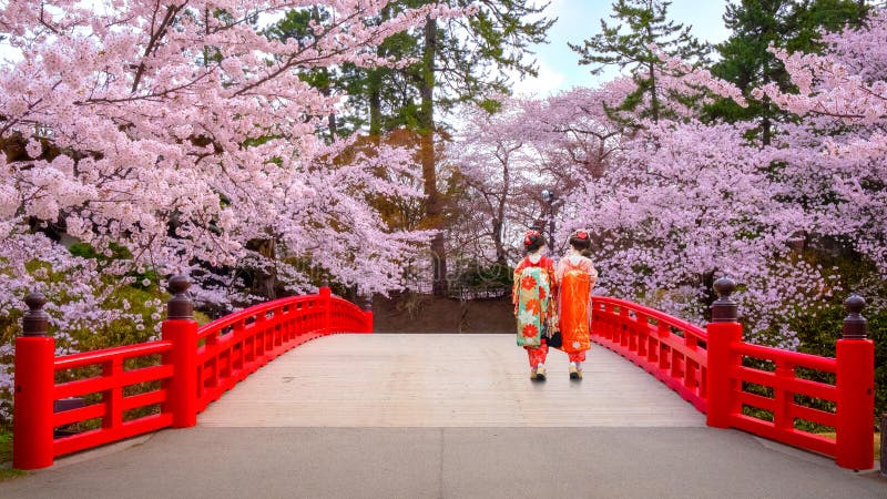 有盛开的佐仓-在弘前市公园的樱花日本艺妓在日本