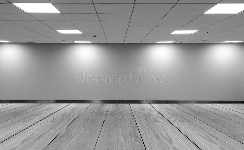 有行天花板LED光灯和光树荫的透视图空的空间单调黑白色办公室室在墙壁上