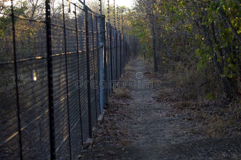 An electrified fence to keep the wildlife on the other side, of this walkway. Surrounded by nature, inside a rest camp in the Kruger National park, South Africa. An electrified fence to keep the wildlife on the other side, of this walkway. Surrounded by nature, inside a rest camp in the Kruger National park, South Africa.