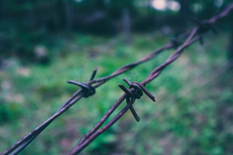 Old electrified fence with barbed wire. Terror jail concept, barbed wire. Marco view. Old electrified fence with barbed wire. Terror jail concept, barbed wire. Marco view.