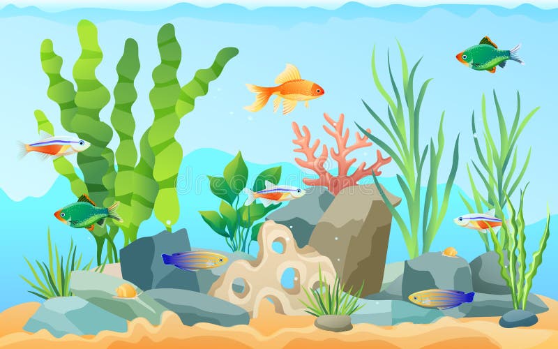 Hand drawn aquarium with fish and seaweed. Goldfish and neon tetra, green tiger barb and blue striped tamiran wrasse swimming among underwater plants. Hand drawn aquarium with fish and seaweed. Goldfish and neon tetra, green tiger barb and blue striped tamiran wrasse swimming among underwater plants