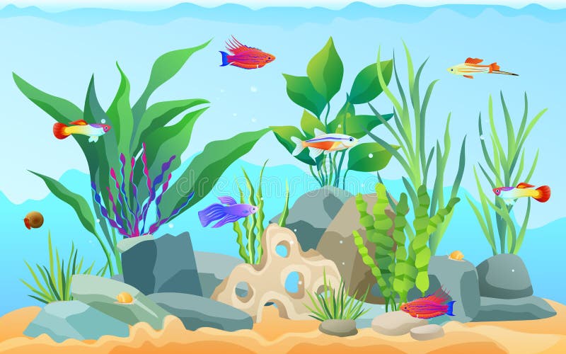Hand drawn aquarium with fish and seaweed. Goldfish and neon tetra, green tiger barb and blue striped tamiran wrasse swimming among underwater plants. Hand drawn aquarium with fish and seaweed. Goldfish and neon tetra, green tiger barb and blue striped tamiran wrasse swimming among underwater plants