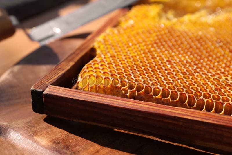 Uncapped honeycomb frame on wooden table. Uncapped honeycomb frame on wooden table