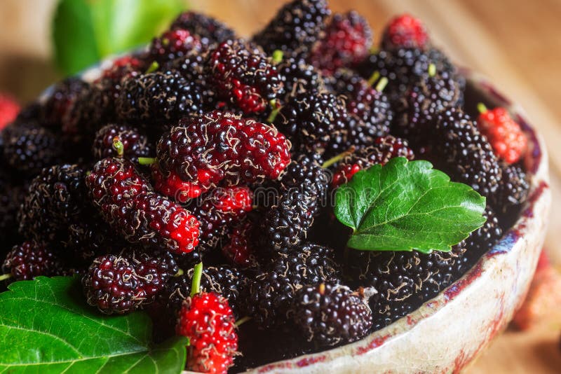 木桌陶碗上新鲜有机桑 免版税库存图片