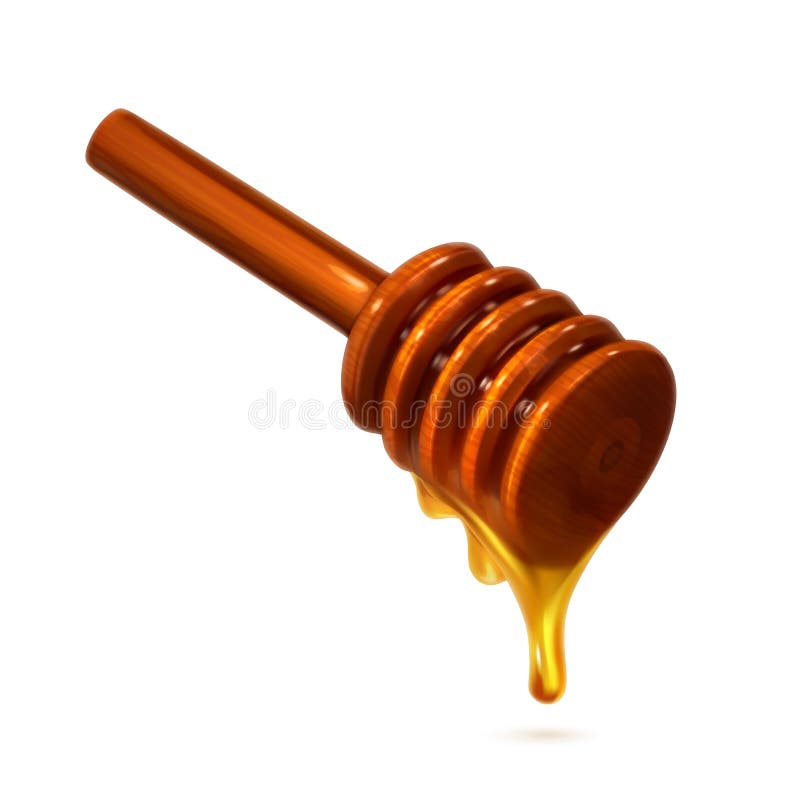 Wooden honey dipper, photo realistic vector, on white background. Wooden honey dipper, photo realistic vector, on white background