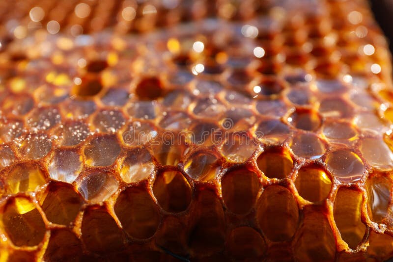 Uncapped filled honeycomb as background, closeup. Uncapped filled honeycomb as background, closeup