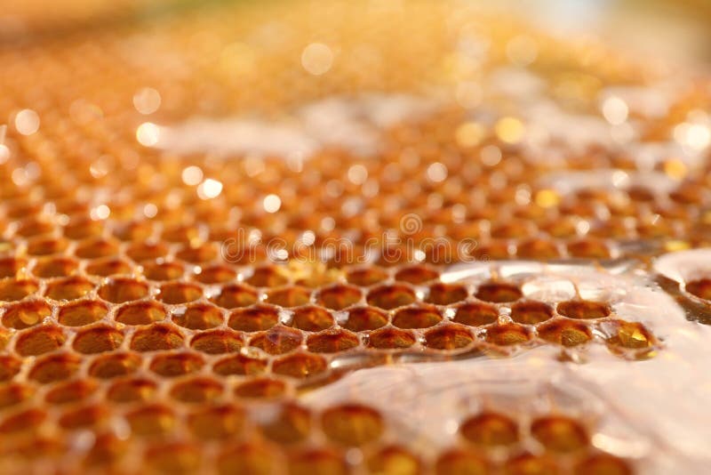 Uncapped filled honeycomb as background. Uncapped filled honeycomb as background