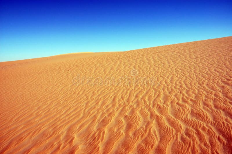 Egyptian desert. Egyptian desert