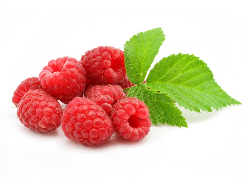 Red raspberry fruits isolated on white background. Red raspberry fruits isolated on white background