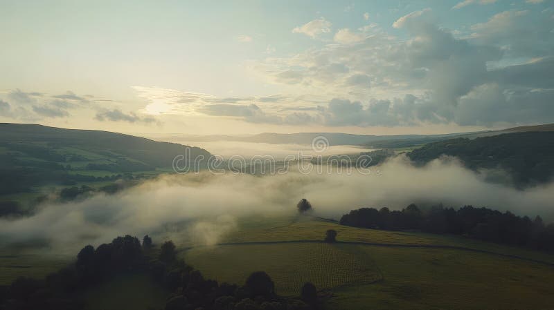 柔和的日出下,朦胧山谷的壮丽空景. 自然美在雾中闪耀营造宁静的风景 库存例证
