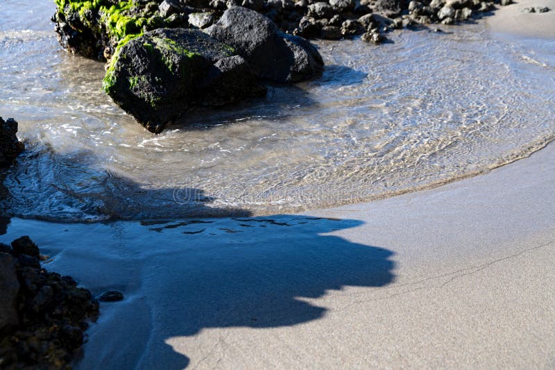 Cabo de Gata, Almeria - Spain - 01-23-2024: Mossy rocks and tranquil waves at a sandy beach in Cabo de Gata, casting soft shadows. Cabo de Gata, Almeria - Spain - 01-23-2024: Mossy rocks and tranquil waves at a sandy beach in Cabo de Gata, casting soft shadows