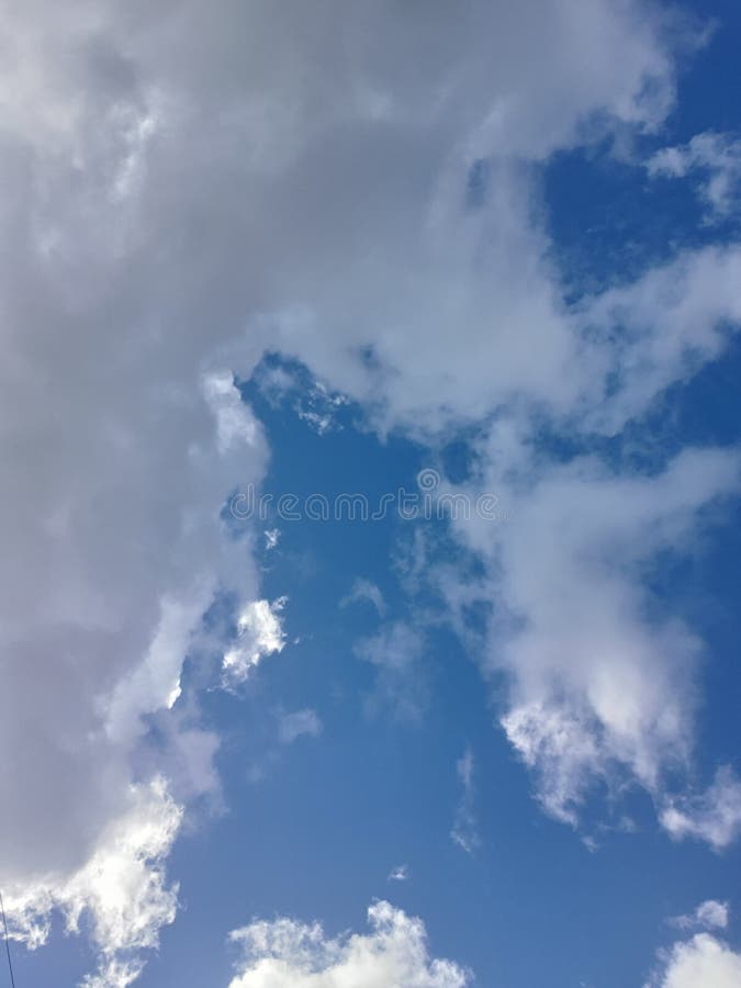 查寻什么您看见 免版税库存图片 查寻什么您看见 免版税库存图片