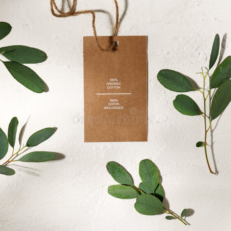 Arrangement of tag and eucalyptus leaves. Arrangement of tag and eucalyptus leaves