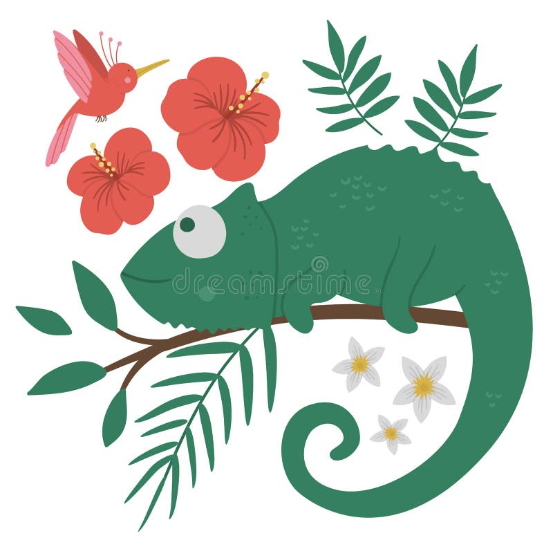 Vector cute chameleon on a tree brunch with leaves and flowers and paradise bird. Funny tropical exotic animal illustration. Bright flat picture for children. Jungle summer clip art. Vector cute chameleon on a tree brunch with leaves and flowers and paradise bird. Funny tropical exotic animal illustration. Bright flat picture for children. Jungle summer clip art