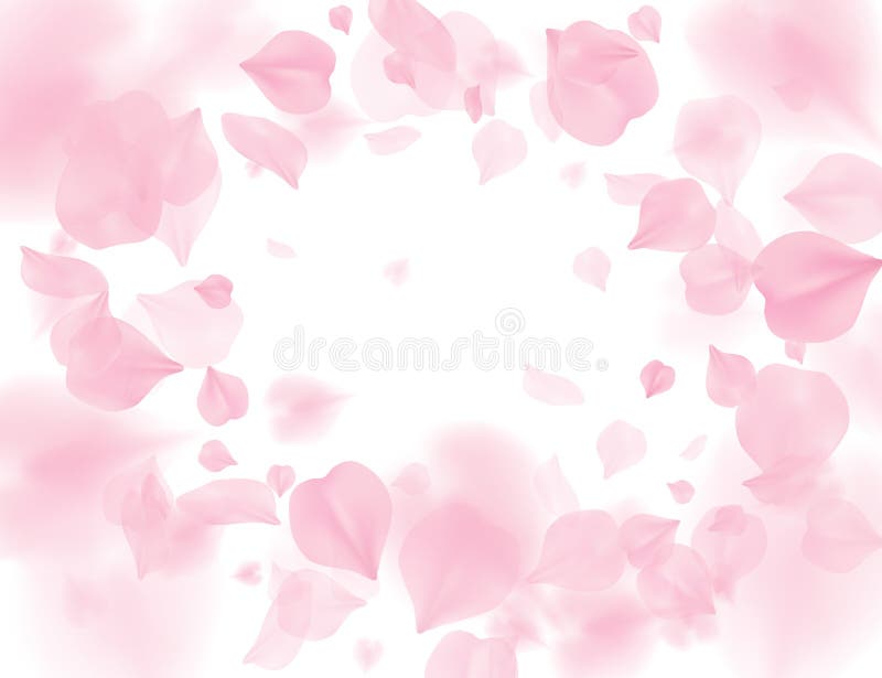 桃红色佐仓瓣落的花传染媒介背景 在白色背景隔绝的浪漫开花 覆盖物华伦泰3D 皇族释放例证 桃红色佐仓瓣落的花传染媒介背景 在白色背景隔绝的浪漫开花 覆盖物华伦泰3D 皇族释放例证