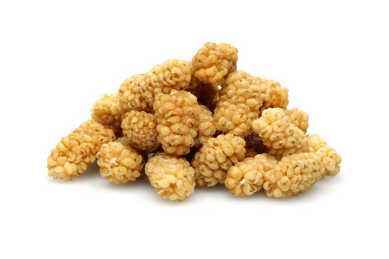 白桑葚 库存图片