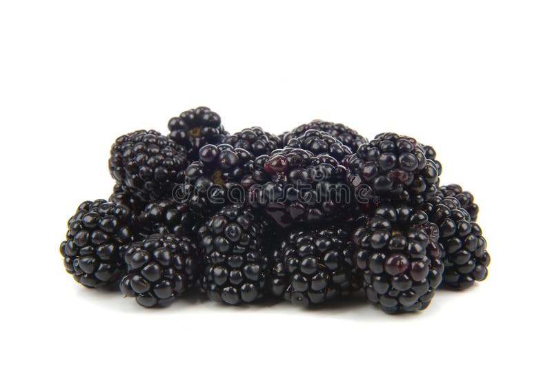 桑葚 库存图片