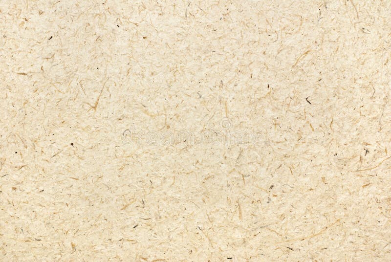 桑树纸 库存图片