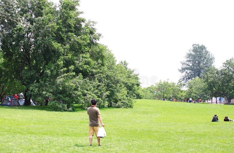 桑葚节 库存照片