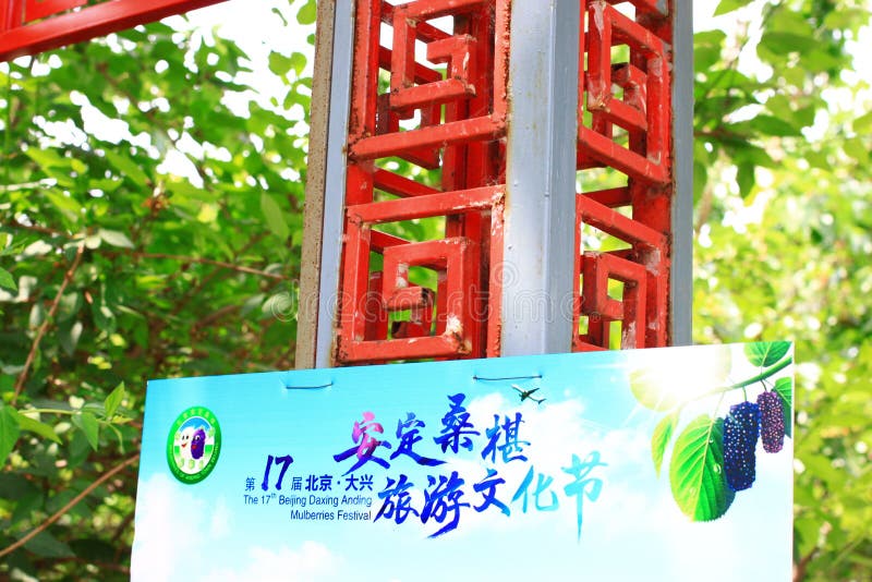 桑树节日 库存图片