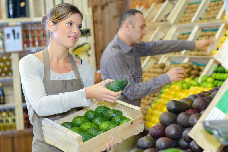 概念排列的鳄梨 图库摄影