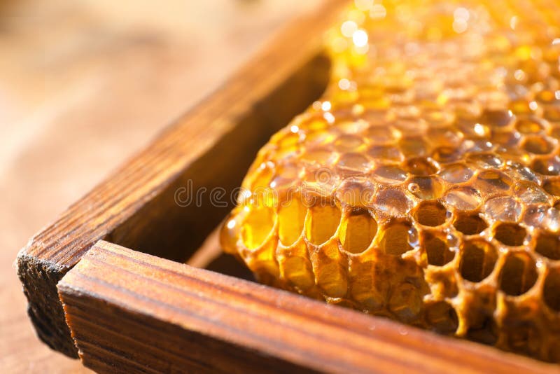 Uncapped honeycomb frame on blurred background. Uncapped honeycomb frame on blurred background