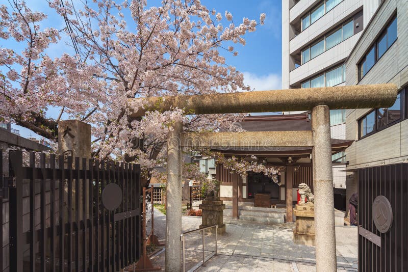 Tokyo, japan - april 07 2020: Japanese shintoist stone torii gate at the entrance of the Daikokujinja shrine adorned with the magic mallet of Daikokuten deity overlooked by pink cherry blossoms. Tokyo, japan - april 07 2020: Japanese shintoist stone torii gate at the entrance of the Daikokujinja shrine adorned with the magic mallet of Daikokuten deity overlooked by pink cherry blossoms