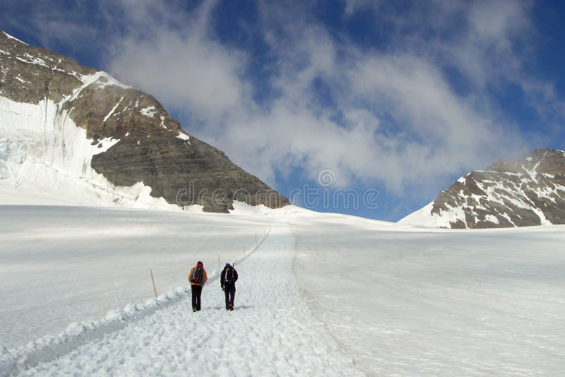 步行在远离Jungfraujoch的一条多雪的道路的两登山者在瑞士